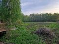 Отдельный дом · 2 комнаты · 60 м² · 9 сот., Трактовая за 2.3 млн ₸ в Глубокое — фото 4