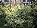 2-комнатная квартира · 63 м² · 12/13 этаж, Тастак-1 м-н 348/1 за 400 000 ₸ в Алматы, Алмалинский р-н — фото 31