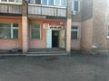 Магазины и бутики · 131 м² за ~ 87.6 млн ₸ в Усть-Каменогорске — фото 13