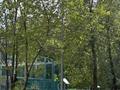 3-бөлмелі пәтер · 66 м² · 3/3 қабат, Абая 101/1, бағасы: 26.2 млн ₸ в Астане, р-н Байконур — фото 17