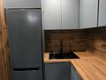 2-бөлмелі пәтер · 45 м² · 4/5 қабат, Чернышевского 23 — Акан серы - Шолохова - Сейфуллина - Арбат, бағасы: 250 000 ₸ в Алматы, Турксибский р-н — фото 9