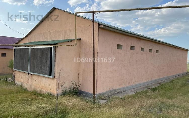 Птице ферма · 147 м², бағасы: 10 млн ₸ в Туркестанской обл. — фото 2