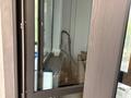 1-бөлмелі пәтер · 30 м² · 4/5 қабат, Мкрн.Салтанат 19, бағасы: 16 млн ₸ в Таразе — фото 25