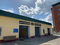 Участок · 40 соток, Чкалова 11 за 470 млн ₸ в Костанае — фото 15
