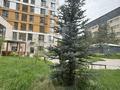 2-комнатная квартира · 63 м² · 1/9 этаж, Сейфуллина 467г — Отличная квартира по супер цене за 47.5 млн ₸ в Алматы, Алмалинский р-н — фото 9
