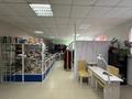 Еркін · 52.4 м², бағасы: 16.5 млн ₸ в Косшы — фото 3