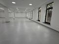 Свободное назначение · 1200 м² за 12 млн ₸ в Алматы, Медеуский р-н — фото 7