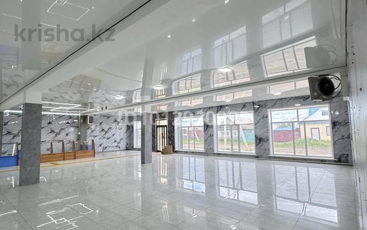 Свободное назначение · 500 м² за 111 ₸ в Макинске — фото 2