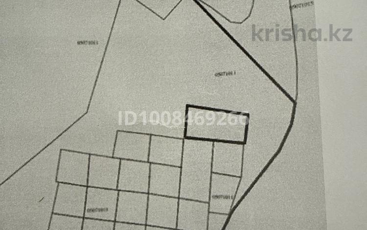 Участок · 50 соток, Катон-Карагай за 15 млн 〒 — фото 2