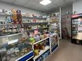 Свободное назначение, магазины и бутики, склады, салоны красоты · 28 м² за 17 млн ₸ в Астане, р-н Байконур — фото 2