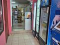 Свободное назначение, офисы, магазины и бутики, общепит, салоны красоты, медцентры и аптеки, образование, развлечения · 120 м² за 51 млн ₸ в  — фото 4