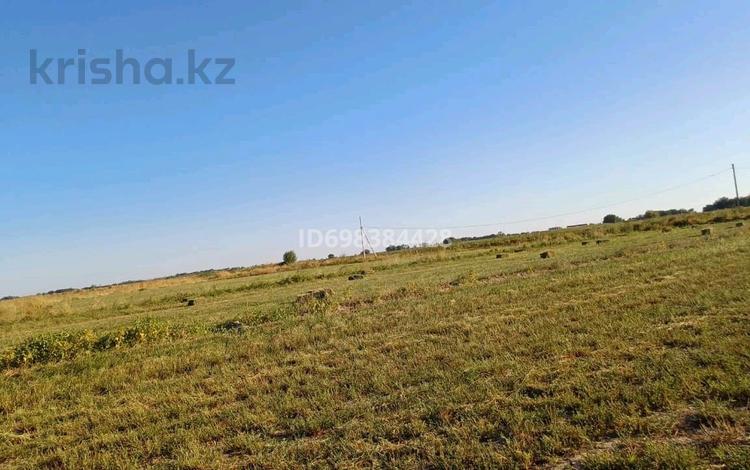 Участок · 15 соток, Яссы 2 245 — Шекербулак за 3 млн ₸ в Карнак — фото 2