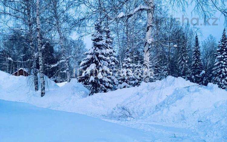 Саяжай · 2 бөлме · 40 м² · 8 жүзд., Мехнина 4, бағасы: 65 000 ₸ в Тарханка — фото 14