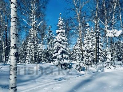 Дача · 2 комнаты · 40 м², Мехнина 4 за 119 000 〒 в Тарханка