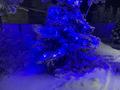 Жеке үй · 6 бөлме · 300 м² · 12 жүзд., улица Конаева 7, бағасы: 70 млн ₸ в Дарьинске — фото 57