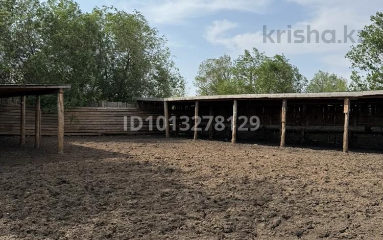 Отдельный дом · 4 комнаты · 70 м² · 10 сот., Правый восточный 4459 — Рсу за 13 млн ₸ в Семее — фото 13