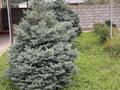 Жеке үй · 6 бөлме · 200 м² · 12 жүзд., Гульдер 33, бағасы: 70 млн ₸ в Конаеве — фото 24