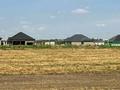 Участок · 135 соток, Учебный квартал 141 9 за 52 млн ₸ в Каскелене — фото 3