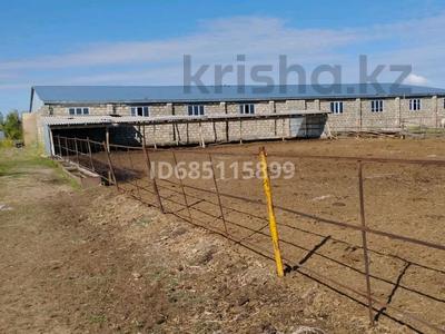 Сельское хозяйство · 100000 м² за 100 млн ₸ в Мартуке