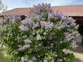 Үйдің бір бөлігі · 4 бөлме · 126 м² · 8 жүзд., мкр Балауса, 19 16, бағасы: 50 млн ₸ в Атырау — фото 14