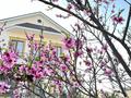 Отдельный дом · 7 комнат · 400 м² · 15 сот., Бакыт Бозжігітов за 49 млн ₸ в Саина Шапагатовой