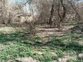 Жер телімі · 1 га, Токтаров 8а, бағасы: 39 млн ₸ в Карабулаке — фото 11