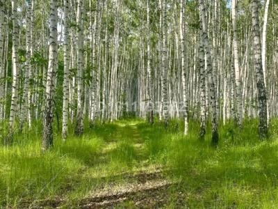 Жер телімі · 15 сотық, Ключевое, бағасы: 7 млн ₸