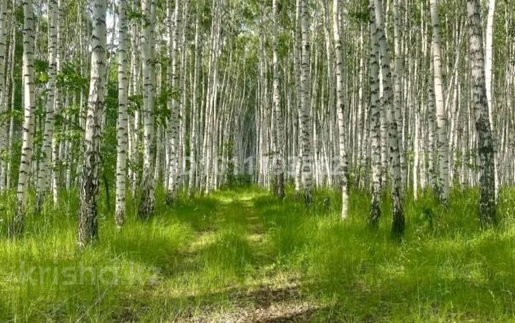 Жер телімі · 15 сотық, Ключевое, бағасы: 7 млн ₸ — фото 2