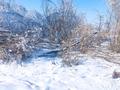 Участок · 6 соток, Новостройка за 3.5 млн ₸ в Шамалгане — фото 5
