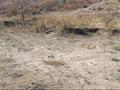 Жер телімі 20 сотық, Такыртобе 124, бағасы: 22 млн 〒 в Кыргауылдах — фото 5