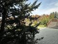 Отдельный дом · 5 комнат · 1200 м² · 110 сот., мкр Каменское плато за 1.8 млрд ₸ в Алматы, Медеуский р-н — фото 16