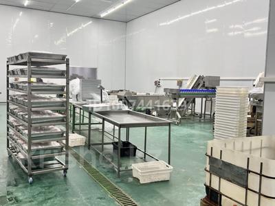 Цех по переработке куриных лап · 1200 м² за 150 млн 〒 в Каскелене