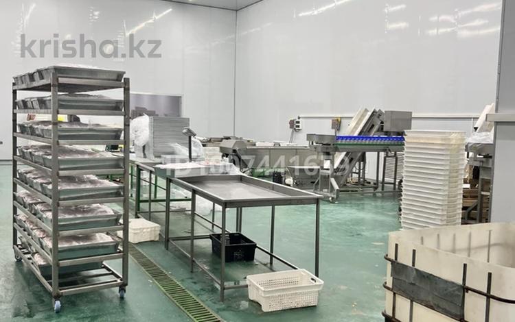 Цех по переработке куриных лап · 1200 м² за 135 млн ₸ в Каскелене — фото 7