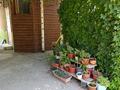 Отдельный дом · 4 комнаты · 89.76 м² · 6.9 сот., Карасу 41 — Сайрамская-тауке хана за 62 млн ₸ в Шымкенте, Енбекшинский р-н — фото 20