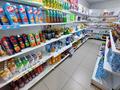 Магазины и бутики · 90 м² за 12.5 млн ₸ в Астане, Алматы р-н — фото 10