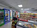 Магазины и бутики · 90 м² за 12.5 млн ₸ в Астане, Алматы р-н — фото 11
