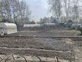 Участок · 12 соток, С.О. Горизонт за 3.5 млн ₸ в Петропавловске — фото 5