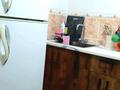 1-комнатная квартира · 50 м² · 2/5 этаж, проспект республики — Колос, Перекрёсток Республики и Айбергенова за 11 000 ₸ в Шымкенте, Аль-Фарабийский р-н — фото 10