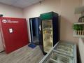 Мясной магазин, ет магазины · 57 м² за 3.5 млн ₸ в Алматы, Наурызбайский р-н — фото 3