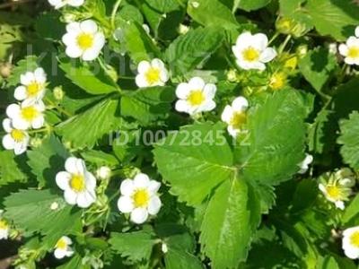 Дача · 1 комната · 10 м² · 10 сот., Алмаз — СТ Алмаз за 2.5 млн 〒 в Усть-Каменогорске, Ахмирово