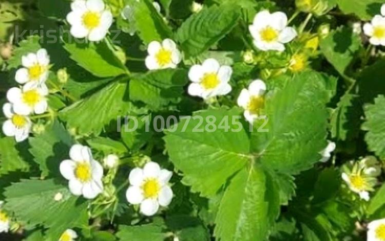 Дача · 1 комната · 10 м² · 10 сот., Алмаз — СТ Алмаз за 2.5 млн 〒 в Усть-Каменогорске, Ахмирово — фото 8