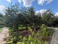 Жеке үй · 5 бөлме · 353 м² · 10 жүзд., Айша биби 13, бағасы: 300 млн ₸ в Астане, Есильский р-н — фото 12