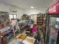 Магазины и бутики • 200 м² за 90 млн 〒 в Шымкенте, Аль-Фарабийский р-н — фото 4