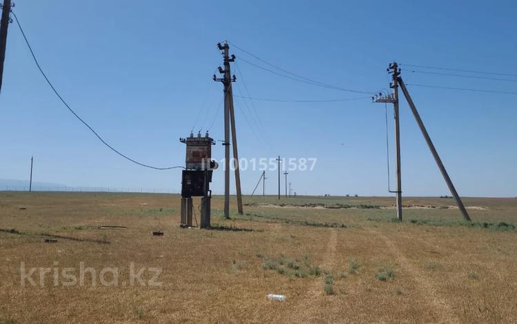Сельское хозяйство · 480 м² за 100 млн ₸ в Алматинской обл., Таргап — фото 2