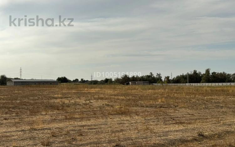 Сельское хозяйство · 1000 м² за 60 млн ₸ в Киши Байсерке — фото 2