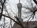 Дом · 1 комната · 15 м², мкр Коктобе 192 — Омарова за 30 000 〒 в Алматы, Медеуский р-н — фото 14