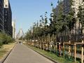 2-комнатная квартира · 39 м² · 9/10 этаж, Е 797 2 за 31 млн ₸ в Астане, Нура р-н — фото 42