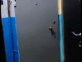 1-бөлмелі пәтер · 32 м² · 1/5 қабат, Пришахтинск, зелинского 24/4 — налоговая, бағасы: 9.1 млн ₸ в Караганде, Алихана Бокейханова р-н — фото 11
