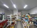 Свободное назначение · 48 м² за 33 млн ₸ в Каскелене