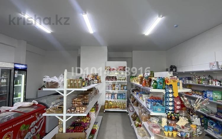 Свободное назначение · 48 м² за 33 млн ₸ в Каскелене — фото 2